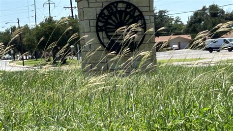 city of san angelo code compliance|Iba pa.